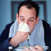 Sundhedsguiden.dk - Forkølelse og influenza | infektionssygdom, behandling, symptomer, luftveje, forebyggelse, dråbeinfektion, nysen, luftveje, virus
