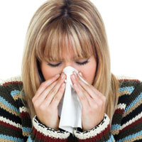 Sundhedsguiden.dk - Allergi |allergier, overfølsomhed, overfølsomheden, reaktion